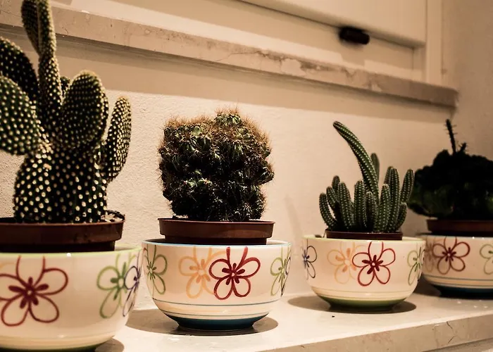 Il Claustro - Bed and breakfast 4*