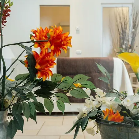 Il Claustro - Bed And Breakfast 2* Altamura