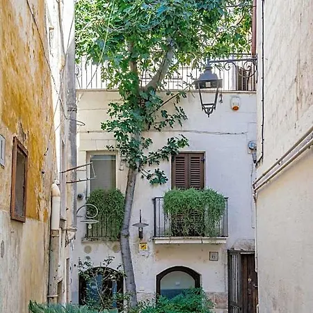 Il Claustro - Bed And Breakfast Отель типа 