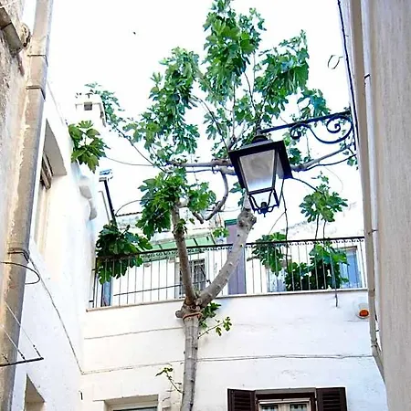 Il Claustro - Bed And Breakfast Отель типа 