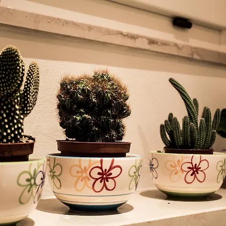 Il Claustro - 住宿加早餐酒店 4*